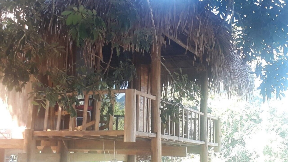 Pu Long Nature Reserve Cabin | Pu luong Discovery Tree Bungalow