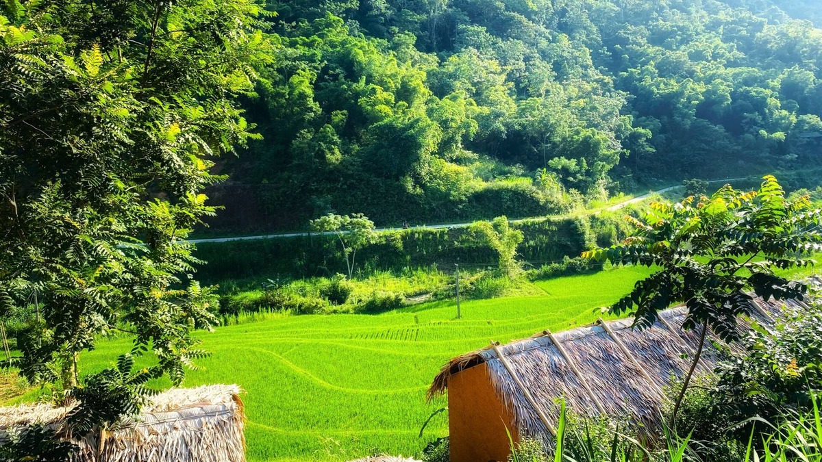 Pu Long Nature Reserve Cottage | Pu Luong Riverside Lodge