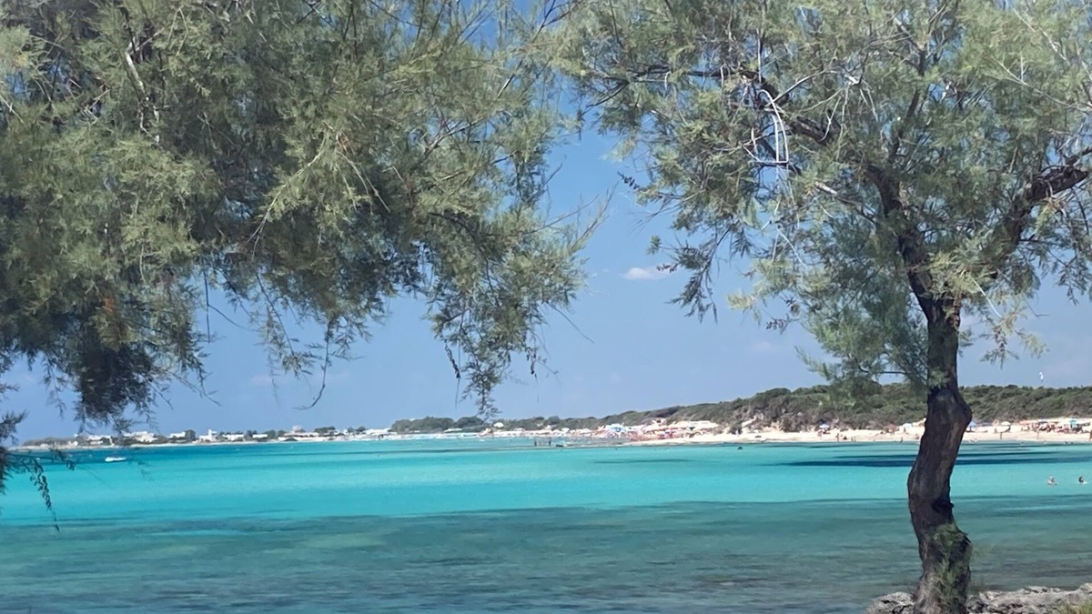 Punta Prosciutto Bed & Breakfast | Punta Prosciutto Angel Bay B&B