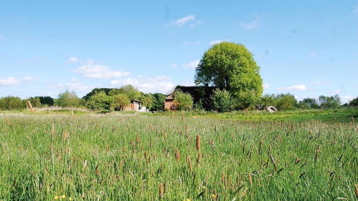 Schnarup-Thumby Apartment | Pure idyll in a secluded location under the thatch at the edge of the forest