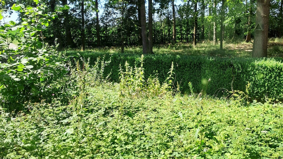 Schneverdingen Apartment | Pure nature, horse farm, forest property