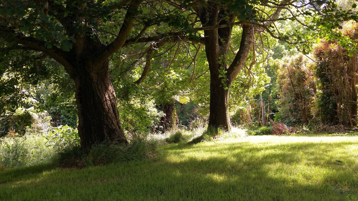 Katikati House | Purple Hen Country Lodge