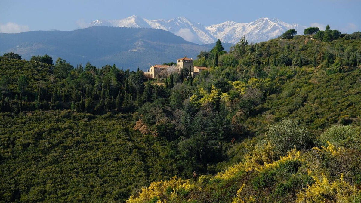 Castelnou House | Pyrenean Paradise - Stunning 10 Bedroom House - Sleeps 23+