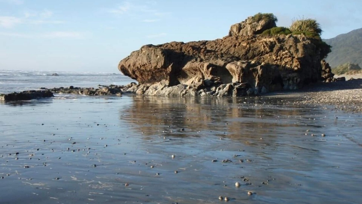 Ngakawau House | Quaint beachfront cottage. Sunny deck and views.