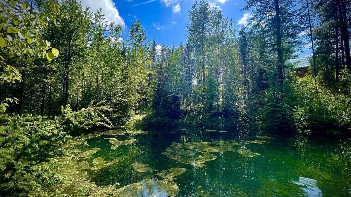 Columbia Falls House | Quaint Cozy Camper on 6 acres in the wilderness near GNP