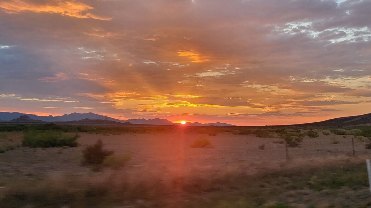 Pearce House | Quaint home in southern Arizona wine country. Pet Friendly!