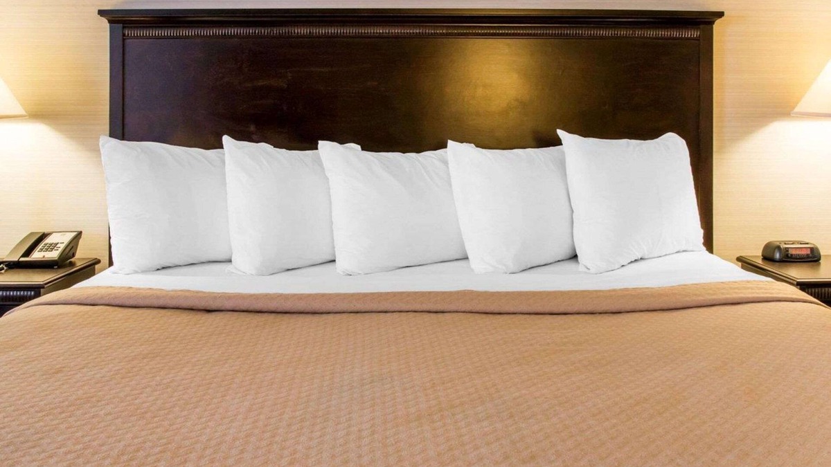 Battle Creek Hotel | Quality Inn & Suites Next to the Casino