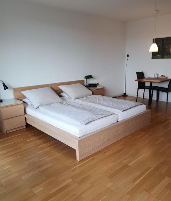Lahnstein auf der Hohe Apartment | Quartier 311 mit Pool und Sauna