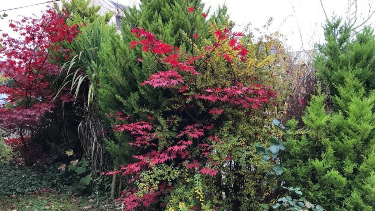 Winchester House | Queens Road Rental - Winchester Accommodation