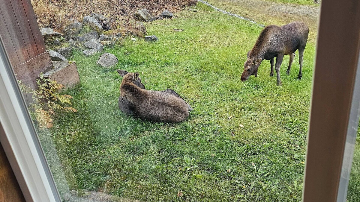 Sutton House | Quiet 3 bedroom house/cabin. 2 miles off Glenn hwn on Fish Lake Rd.