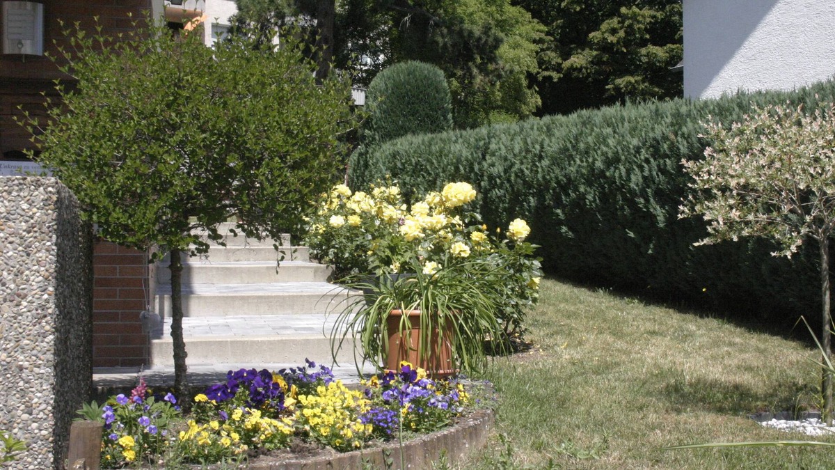 Ruedesheim am Rhein Apartment | Quiet apartment, vineyards nearby, 15 minutes walk to the center,