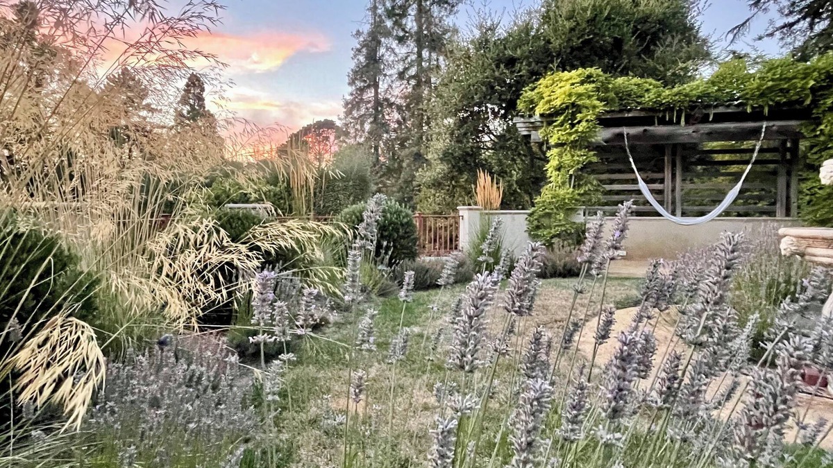 Upper Rockridge Apartment | Quiet, Elegant Apartment With Beautiful Views & Terraced Gardens