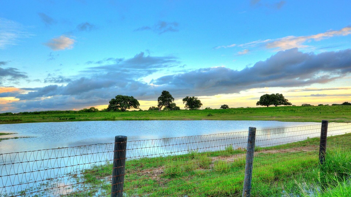 Sutherland Springs Cabin | Quiet Escape on a South Texas Ranch 2BR Cabin house sleeps up to 3 adults