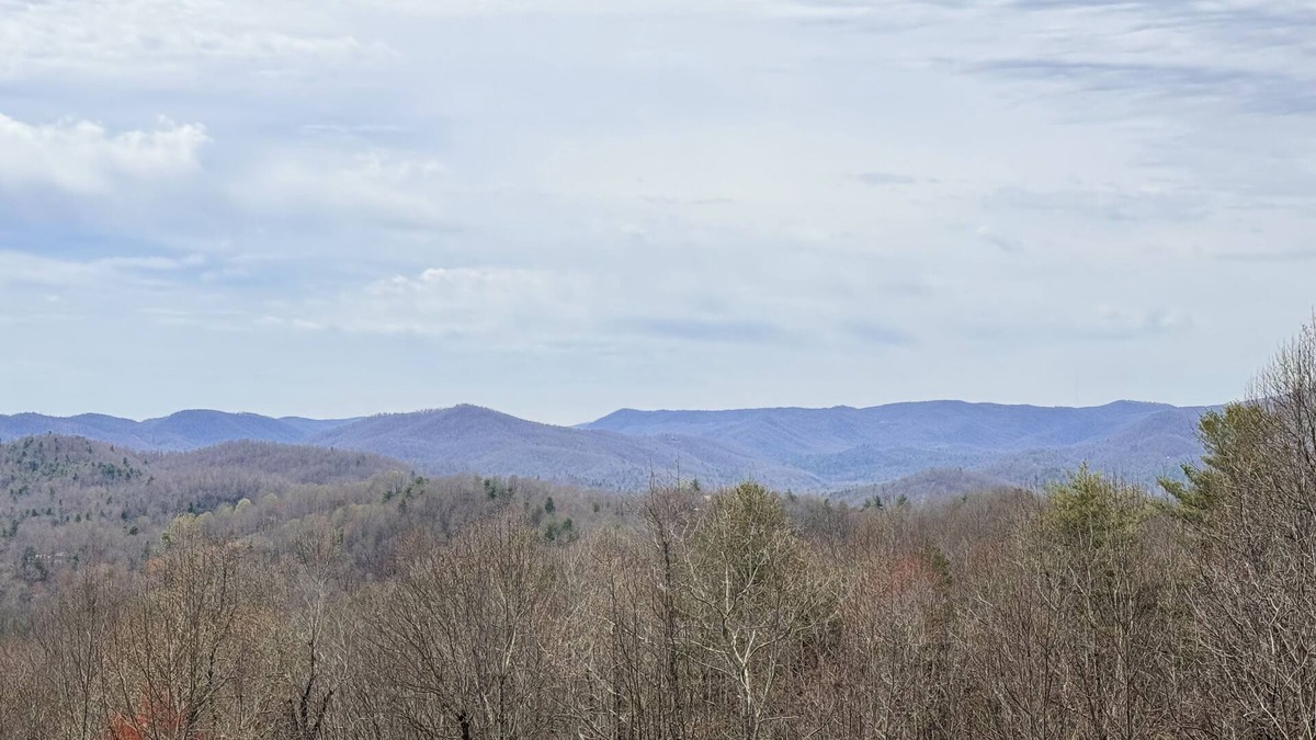 Saluda House | Quiet, Extensive Mountain View Escape with 40+ private acres - 3 miles from town