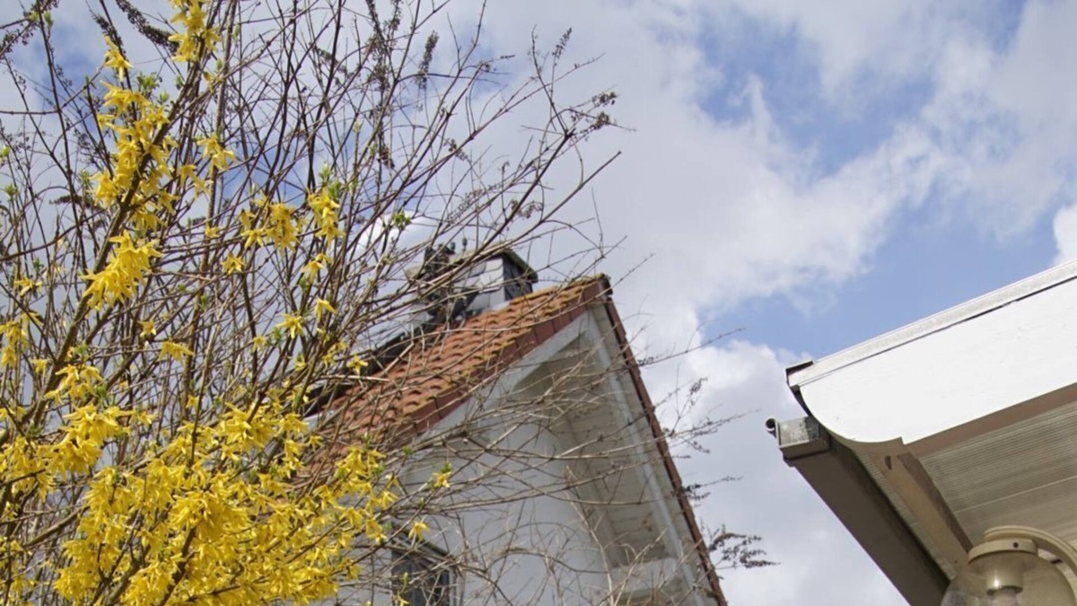 Willersdorf Apartment | quiet flat for a couple or little family with beautiful views