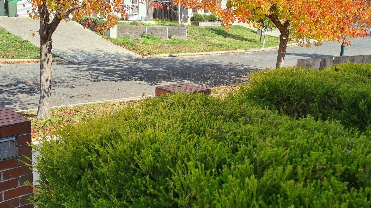 Eureka House | quiet location on a creek back door. amongst the cockatoos, n parrots.