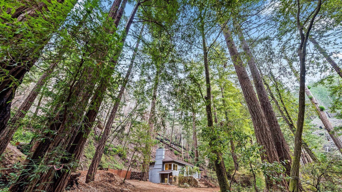Pescadero House | Quiet Retreat in the Redwoods