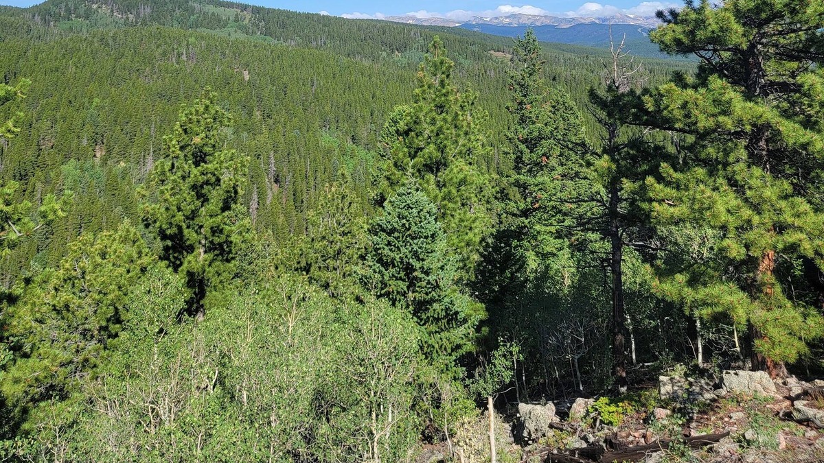 Black Hawk RV Rental | Quiet, Rural, Colorado Mountains Campground