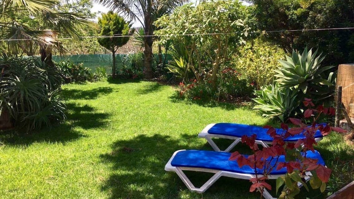 Silves House | Quietness in Algarve