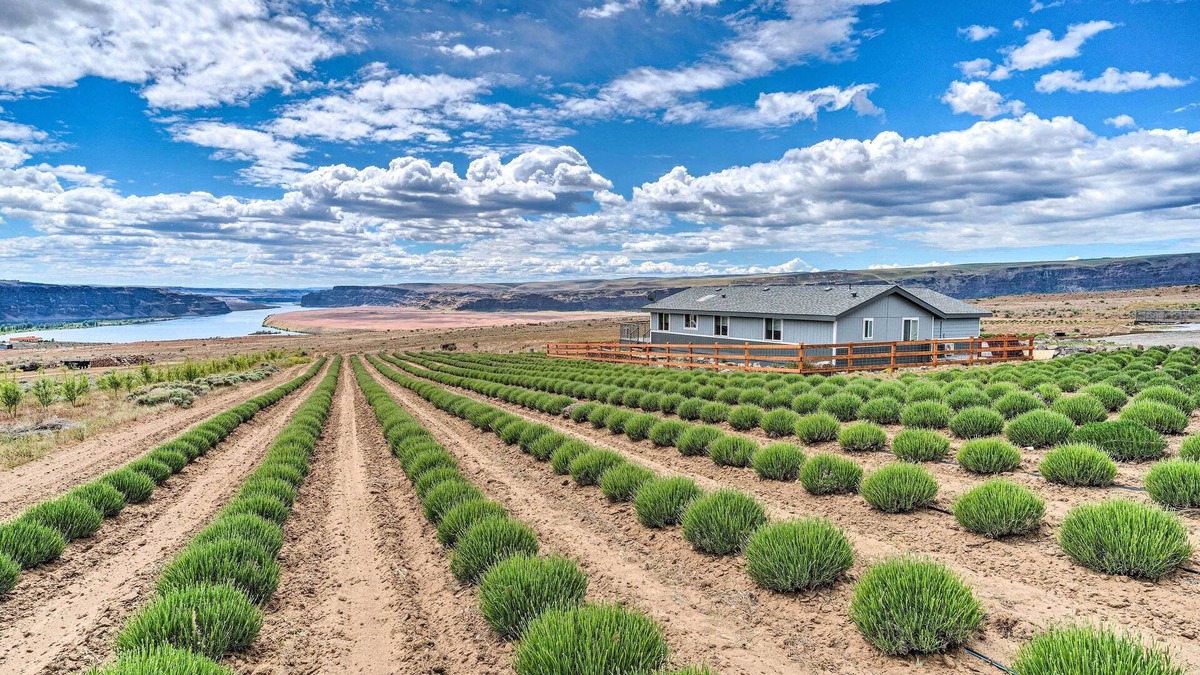 Quincy House | Quincy Home on Lavender Farm w/River Views!