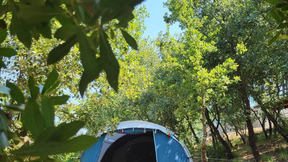 Santa Maria dos Olivais House | Quinta da Choupana