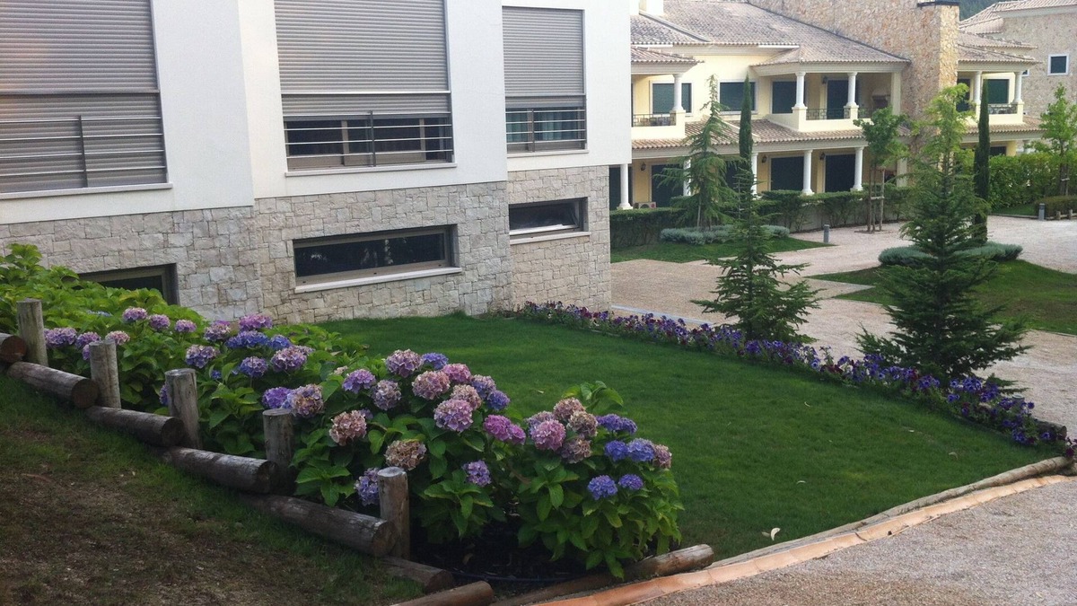 Aguas Belas Villa | Quinta da Martinela - House on Lake - Ferreira do Zêzere