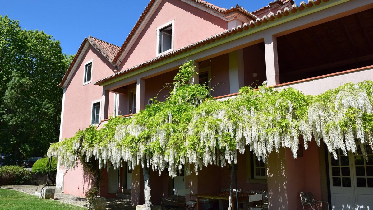 Colares Villa | Quinta da Várzea - Colares, Sintra