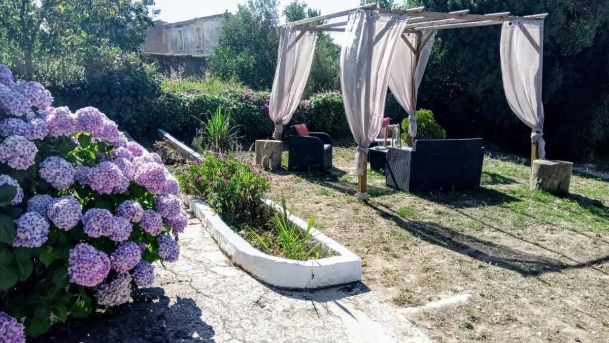 Carvalhal Benfeito House | QUINTA DO BANCO - HORSES, BREAKFAST AND BED