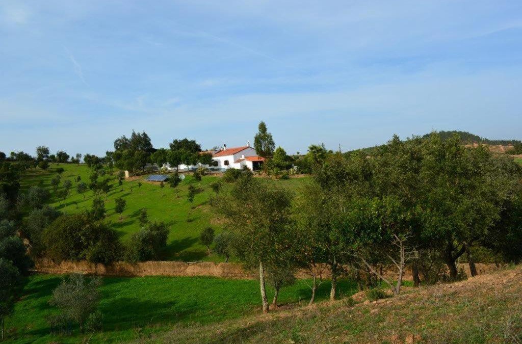Luzianes Bed & Breakfast | Quinta Do Grilo