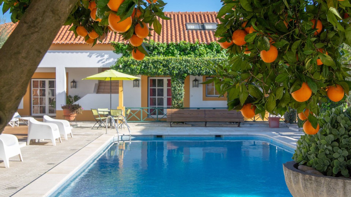 Paialvo House | Quinta do Lagar de São José