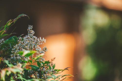 Tarouca Resort | Quinta do Lameiro