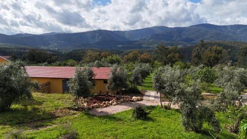 Serpins Apartment | Quinta-lina de serpins