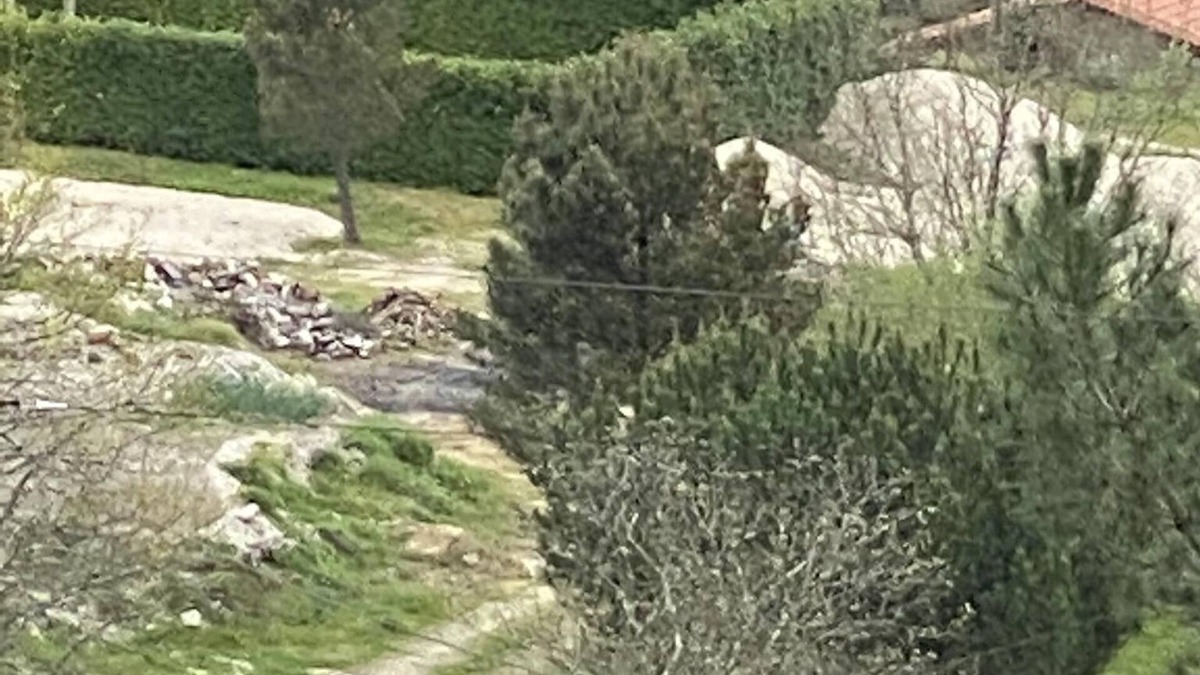 Insua Other | Quinta Vale da Aldeia