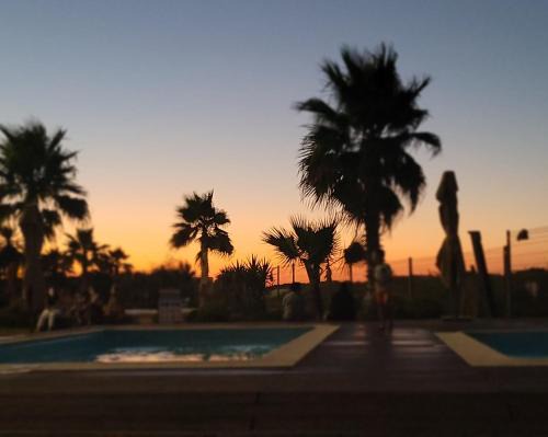 Tantana Apartment | Résidence Amwej Sousse les pieds dans l'eau