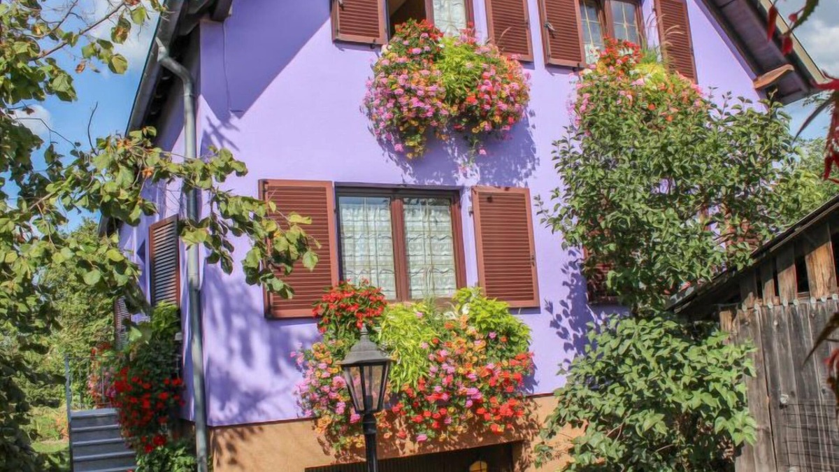 Marckolsheim Apartment | Résidence jaune et rose by Interhome