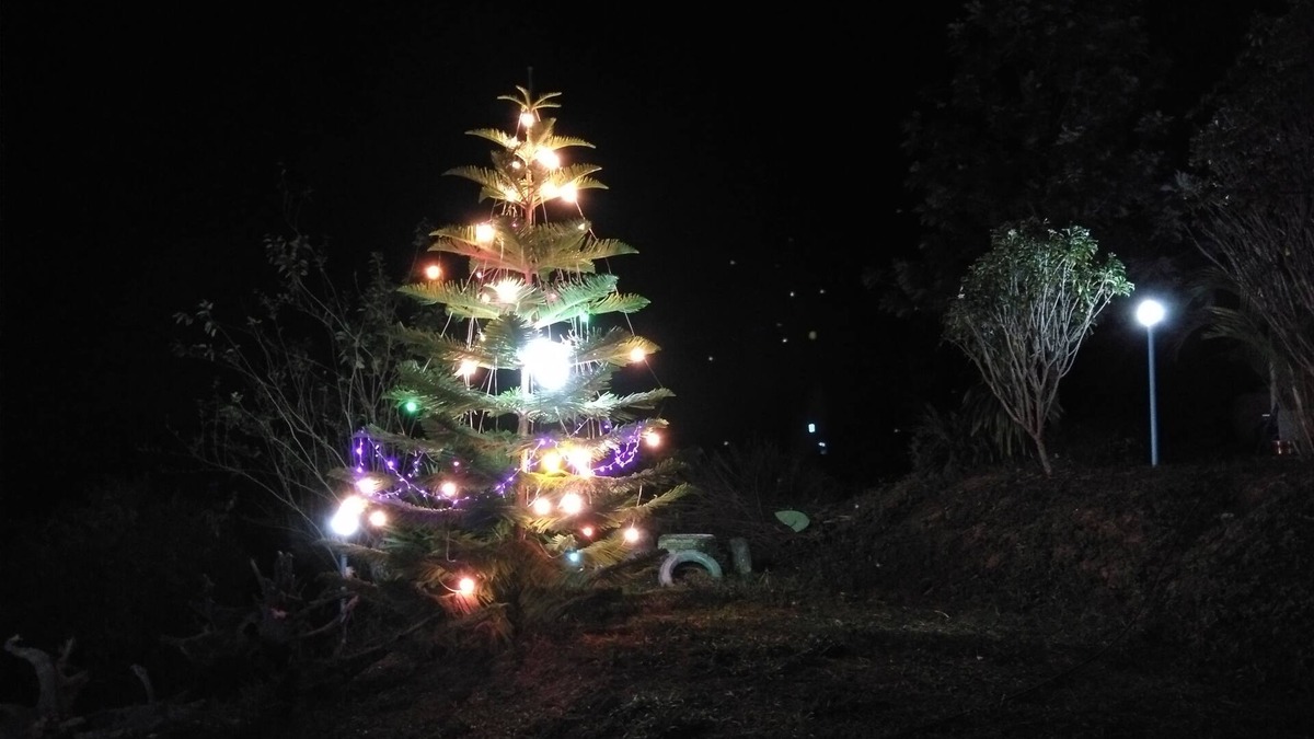 Sado Phong House | Rai Rames Agritourism