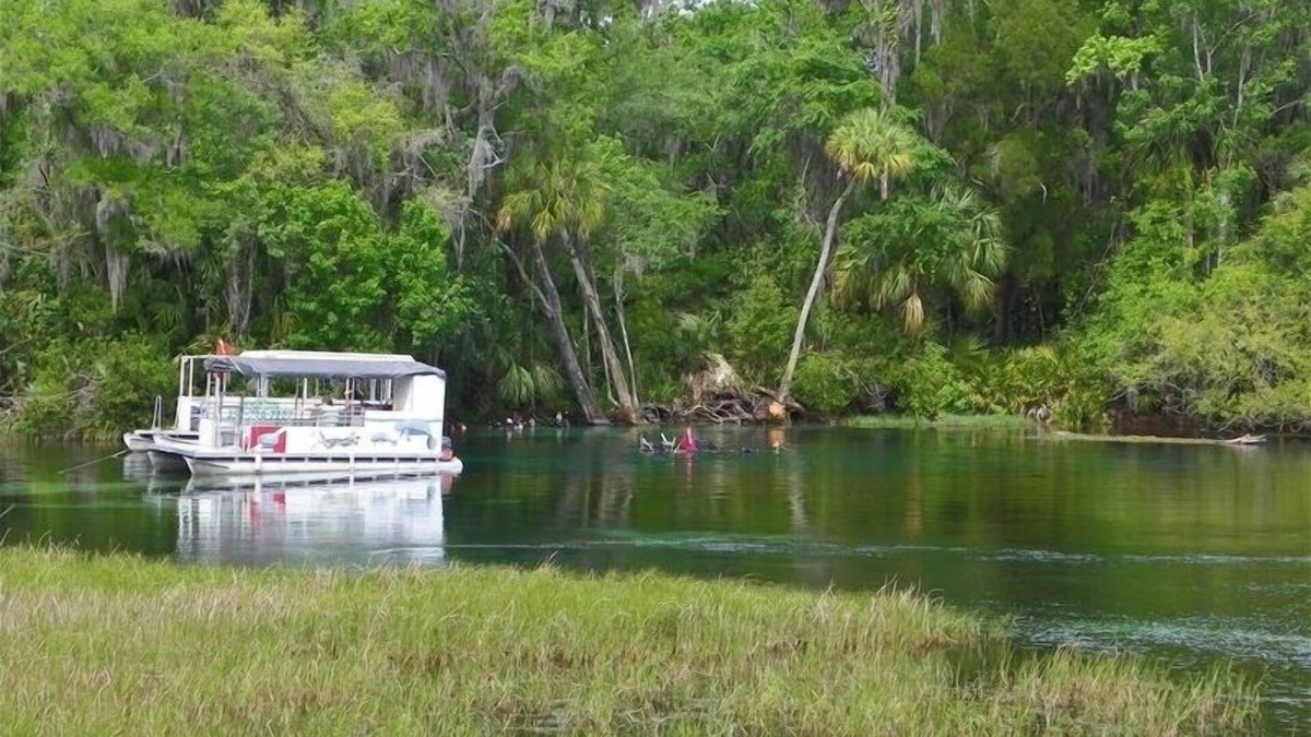 Dunnellon House | Rainbow River Home - Directly on Main Dive Springs