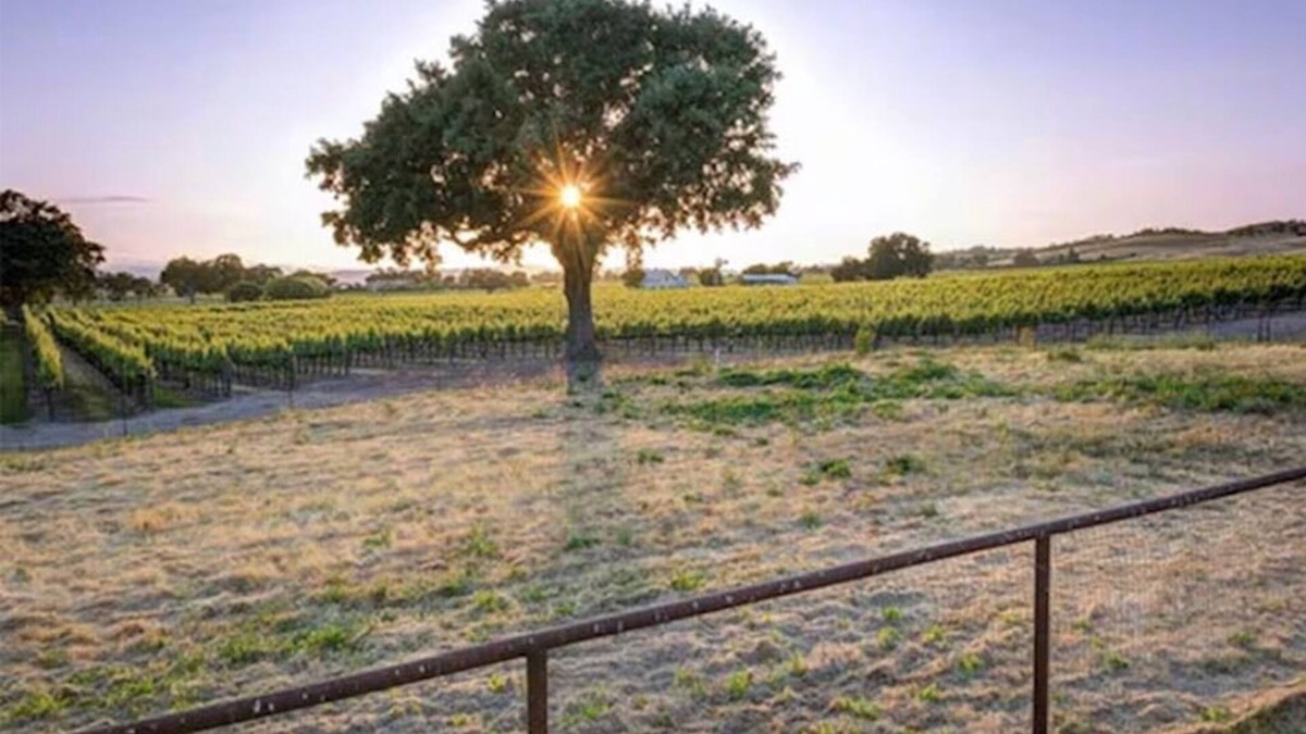 Paso Robles House | Ranch Lifestyle Tiny Home