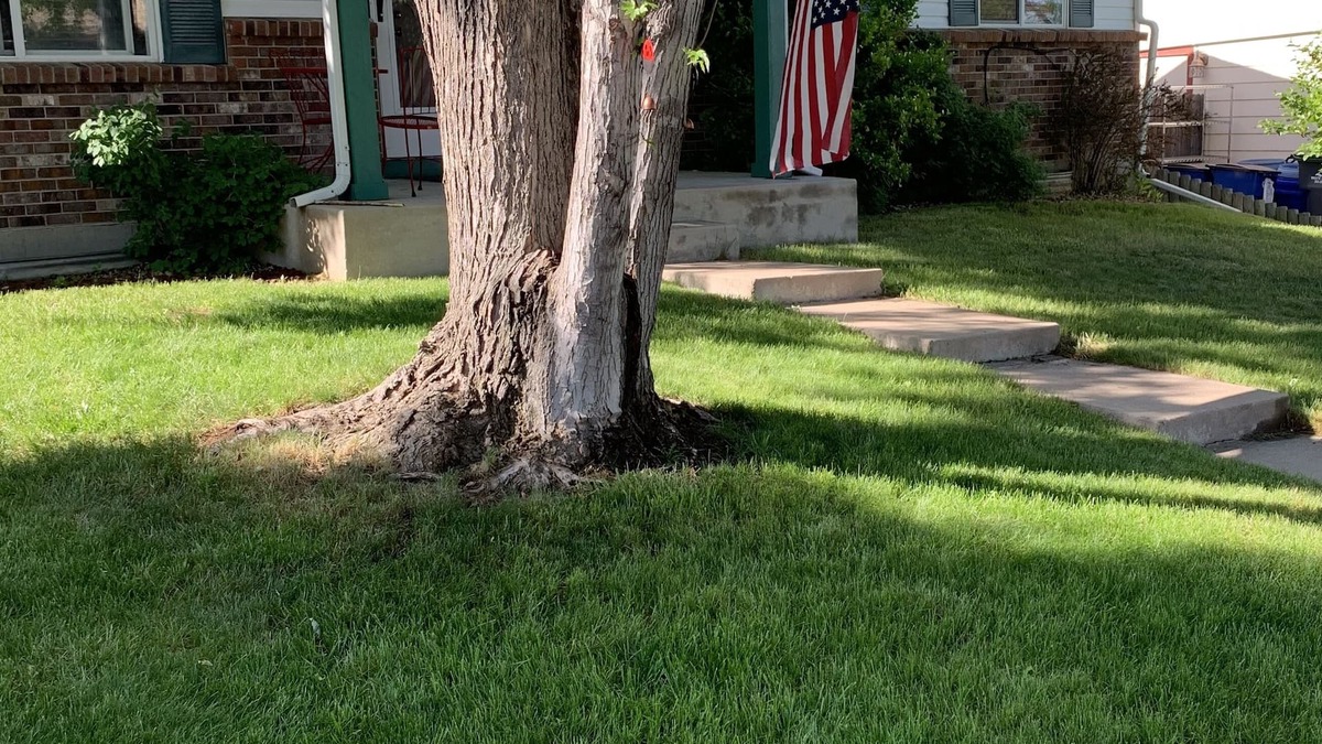 Aurora House | Ranch style home in Aurora