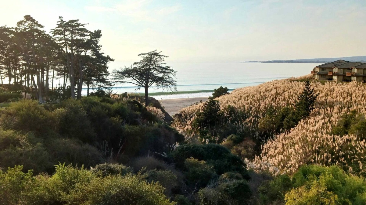 Rio del Mar Condo | Rare Oceanview Studio Seascape Resort!
