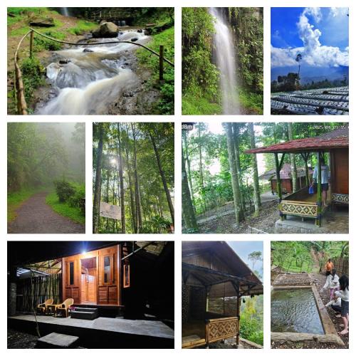 Pangalengan Cabin | Rasamala Camp