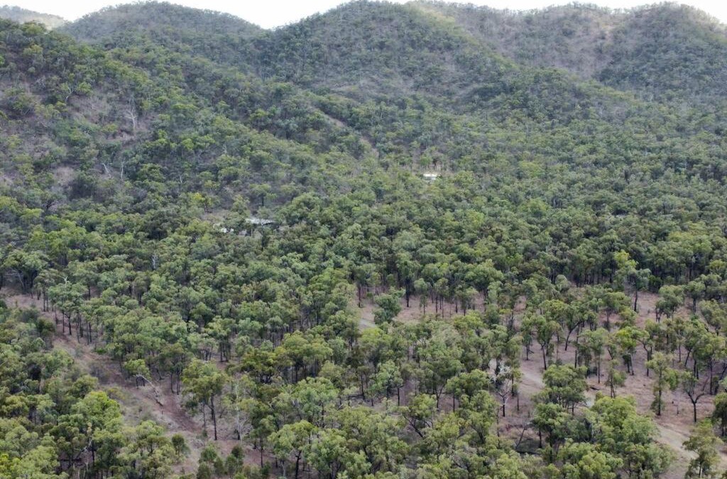 Kunwarara Ski Chalet | Raspberry creek cabin