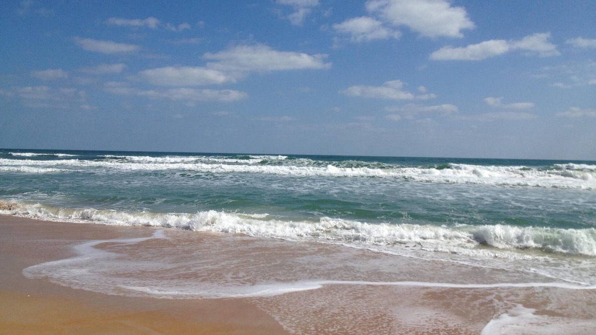 Flagler Beach Condo | RATED #3 BY TRIP ADVISOR IN 2016: AFFORDABLE BEACH DESTINATIONS- Recent Remodel