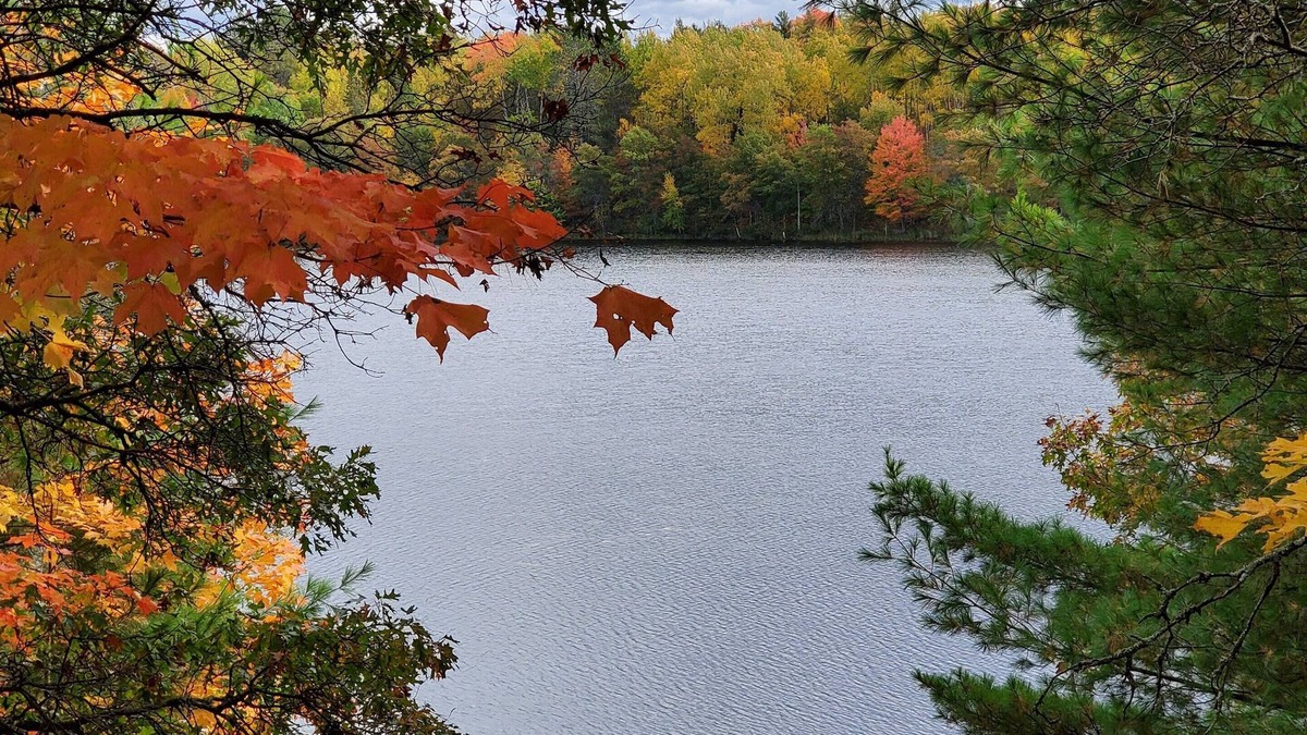 Markville Cabin | Rates dicounted 10% - Nov & Dec 2025. Small quiet lake, Hot Tub, Sauna and WiFi