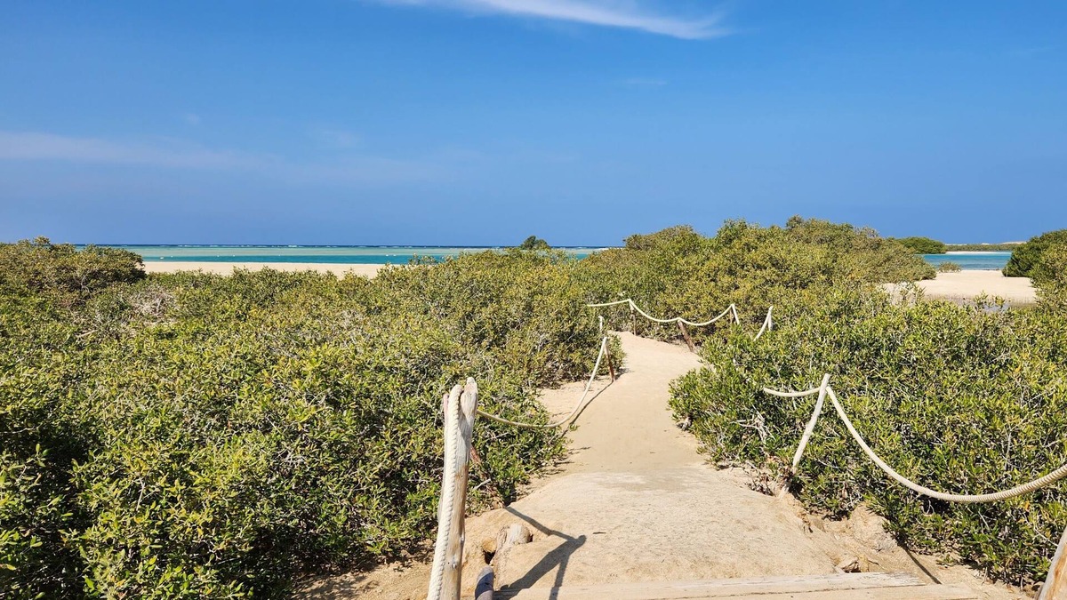 Marsa Alam House | Rayhana Guest House