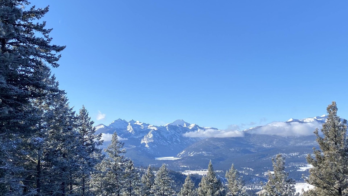 Grantsdale Cabin | Real stone cabin, wake to million dollar views, abundant wildlife.