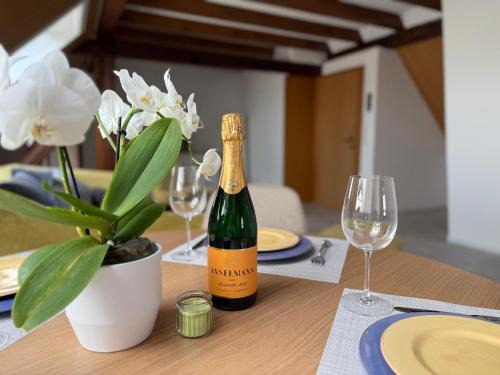 Ruppertsberg Apartment | Rebenblick Dachsuite mit kulinarischen Extras auf Wunsch