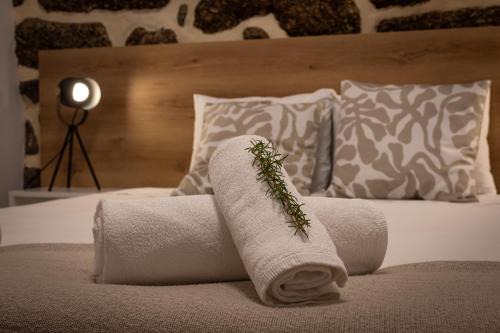 Lapa dos Dinheiros House | Recanto da Neta