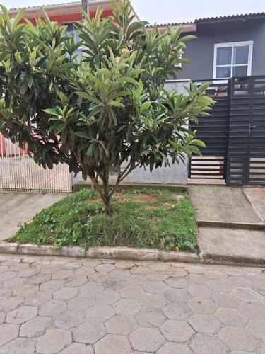 Rio Vermelho Norte House | Recanto das gérberas