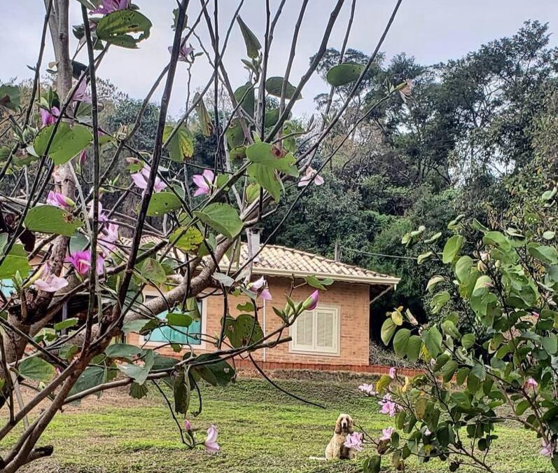 Monte Alegre do Sul House | Recanto dos Beija Flores, Chalé lantana a